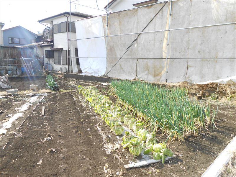 Other local. Local (January 2014) shooting local south