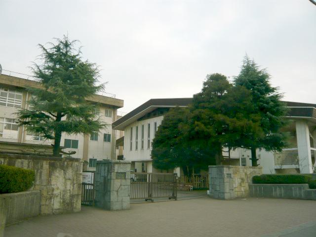 Junior high school. Dana 1000m until junior high school