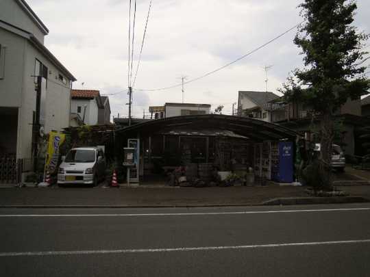 Local land photo. Appearance (1)