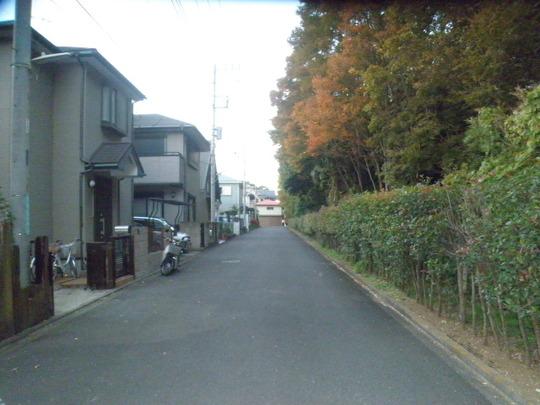 Local photos, including front road. Frontal road