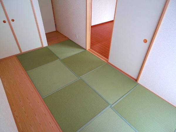 Non-living room. Indoor (11 May 2013) Shooting