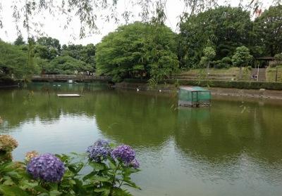 park. 1275m Kanuma park to the park