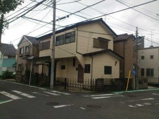 Local land photo. Appearance (1)