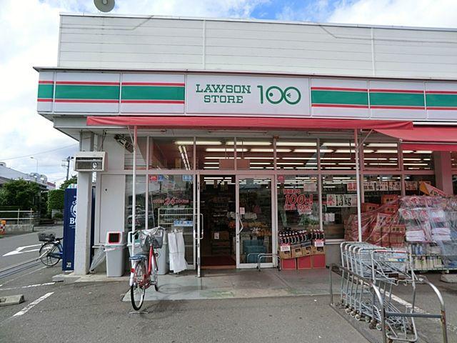 Other. Lawson store