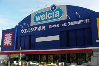 Drug store. Uerushia 382m to Sagamihara freshness shop