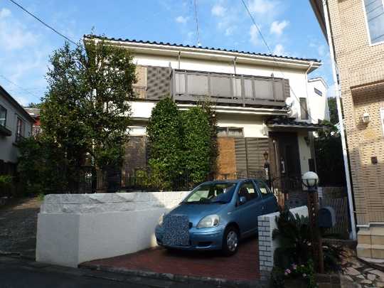 Local land photo. The subject real estate (1)