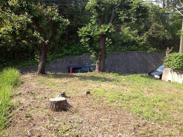 Local land photo. Local (August 2013) Shooting