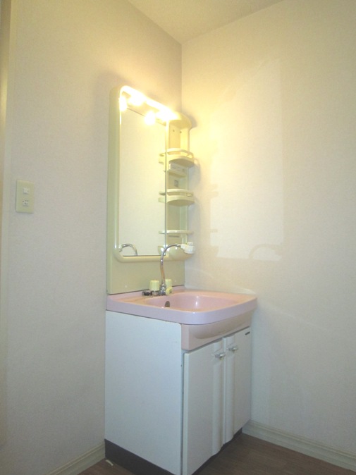 Washroom. Morning glad shower dresser