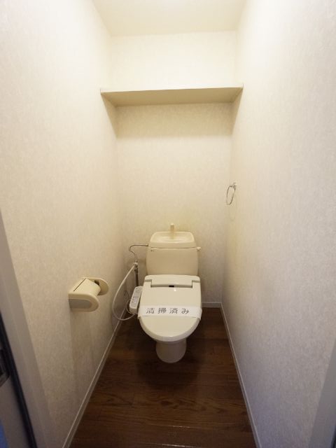 Toilet. With shelf