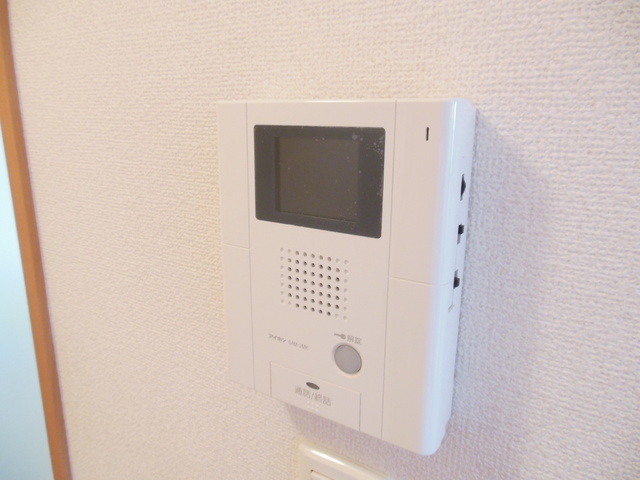 Security. TV is equipped with monitor Hong