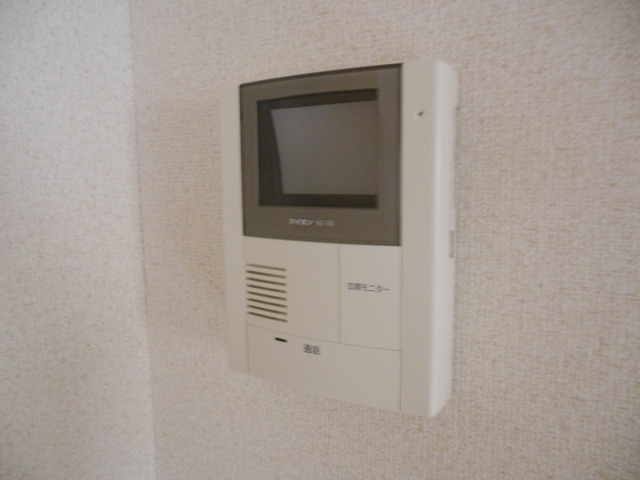 Security. Monitor is a book