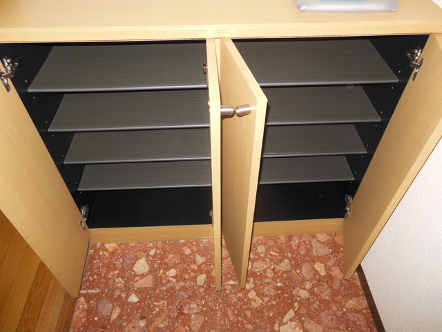 Entrance. It is a shoebox