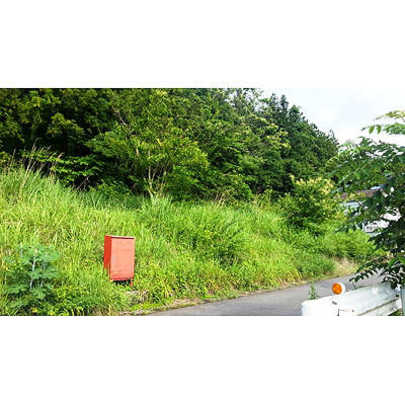 Local land photo. Local Photos