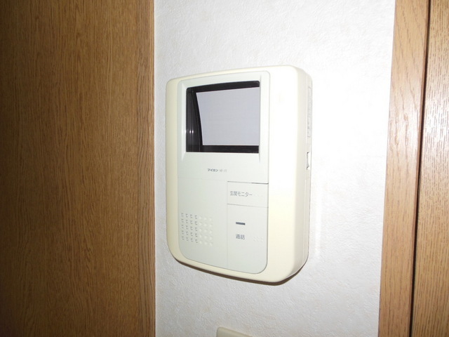 Security. Monitor with intercom