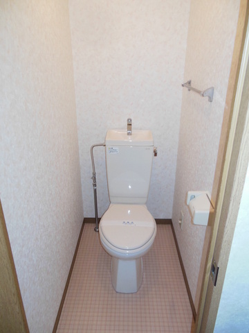 Toilet. Toilet space