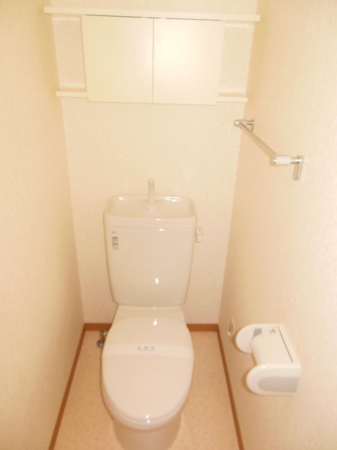 Toilet. Toilet