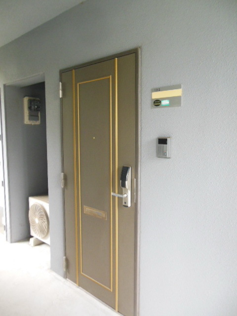 Entrance. Entrance door