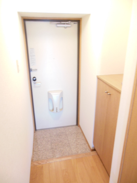 Entrance. Entrance space