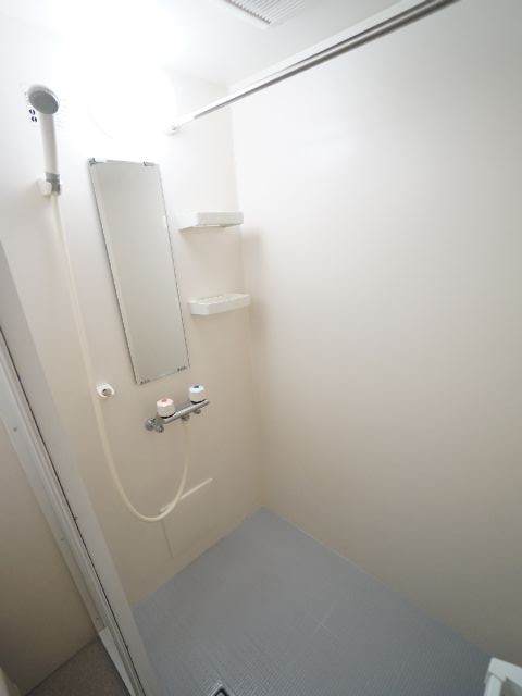 Bath. Shower-only room