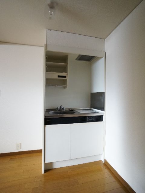 Kitchen. IH cooking heater