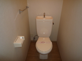 Toilet. Bus toilet Separate