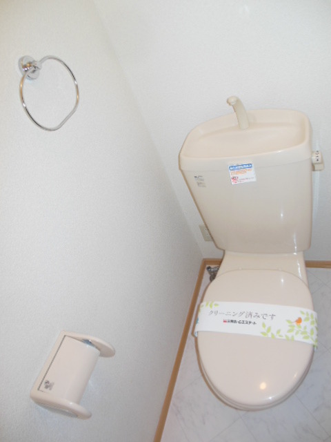 Toilet. Western-style toilet