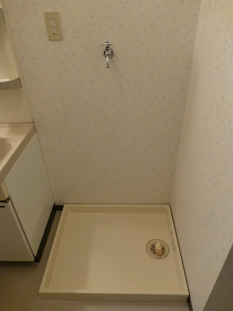 Washroom. Indoor Laundry Storage rooms!