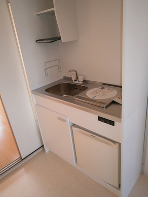 Kitchen. IH cooking heater Installed