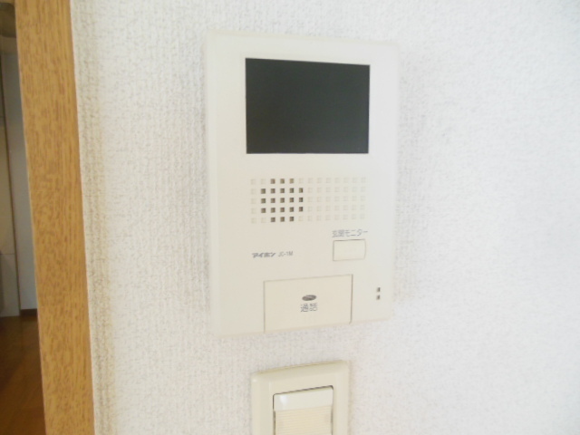 Security. It is a monitor with intercom of peace of mind