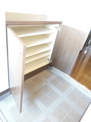 Entrance. Handy shoe box to organize shoes