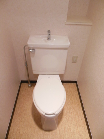 Toilet. It is a beautiful toilet