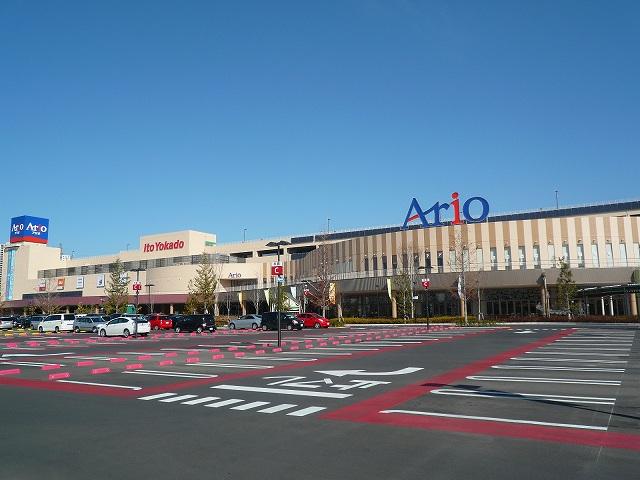 Other. Ario Hashimoto