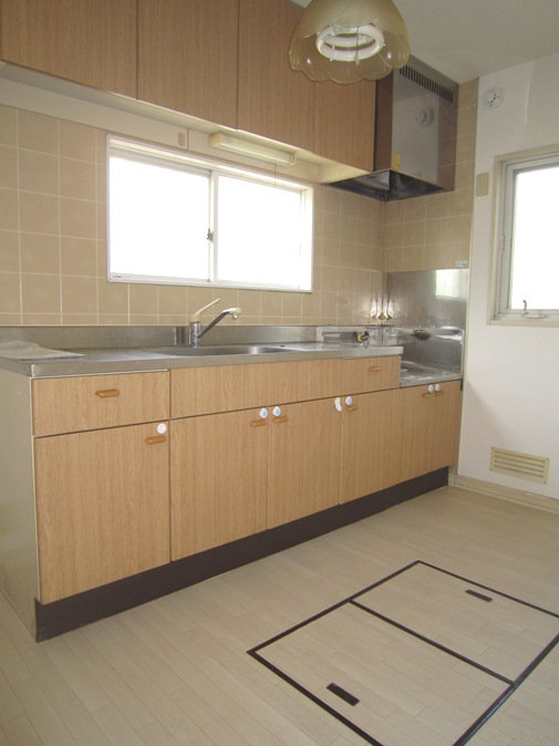 Kitchen. Stand-alone kitchen Gas stove installation Allowed