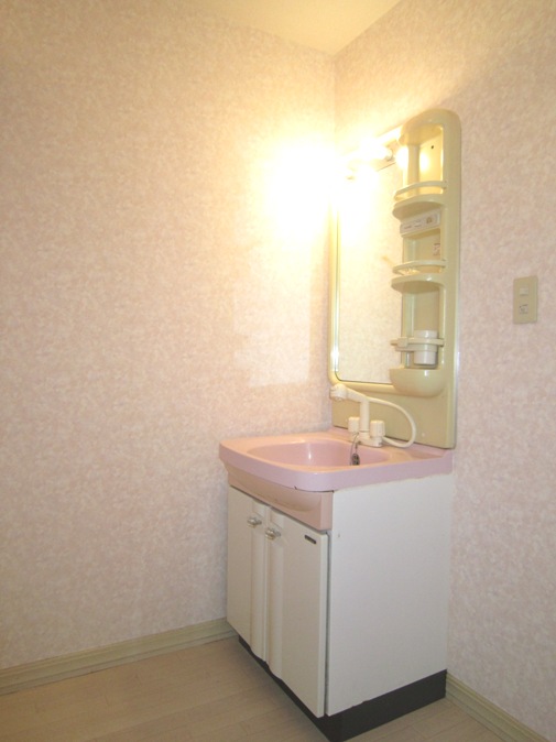 Washroom. Shower dresser