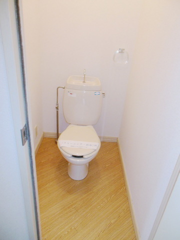 Toilet. Western-style toilet