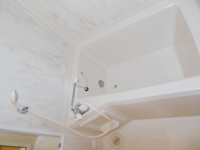 Bath. Beautiful bathroom