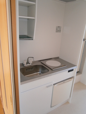 Kitchen. IH cooking heater Installed