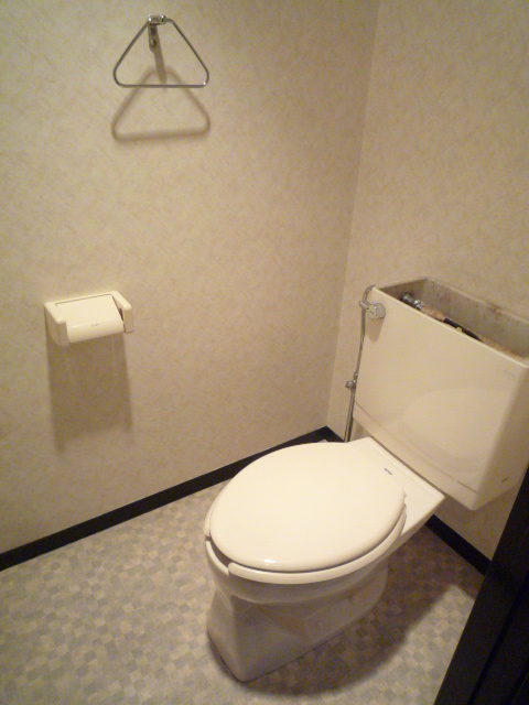 Toilet. There outlet is with a bidet.