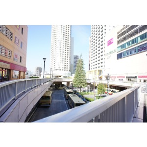 Dorakkusutoa. Medicine Seijo Hashimoto store up to (drugstore) 99m