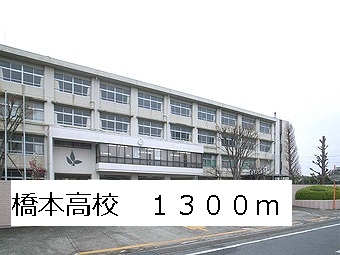 high school ・ College. Hashimoto High School (High School ・ NCT) to 1300m