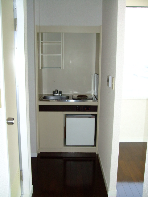 Kitchen. The kitchen is an electric stove type.