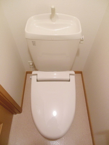 Toilet. It is a beautiful toilet