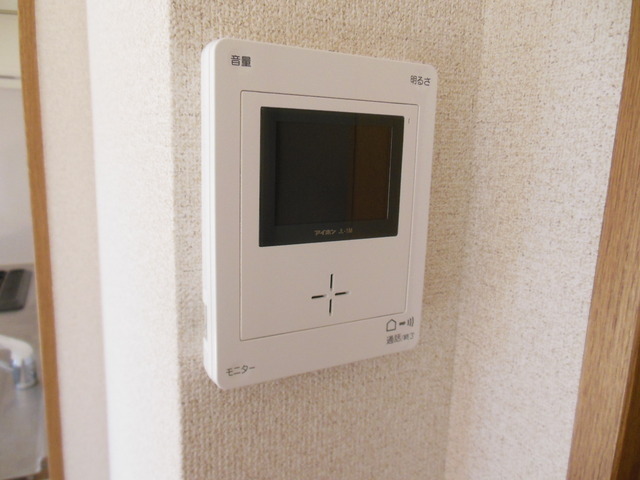 Security. Monitor is a book