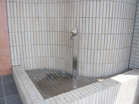 Other common areas. Pet foot washing place