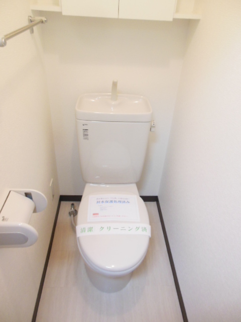 Toilet. Western-style toilet