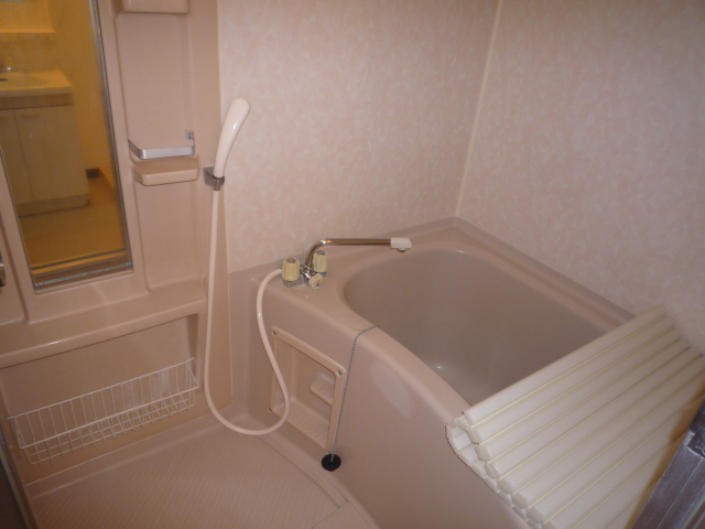 Bath. It is a mirror handy bathroom.