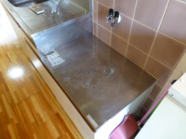 Kitchen. Gas stove is possible installation of a two-necked.