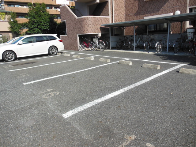 Parking lot. Parking lot