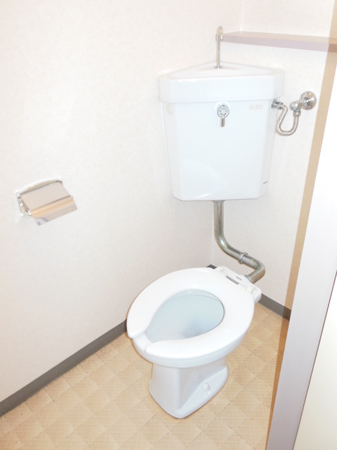 Toilet. Western-style toilet