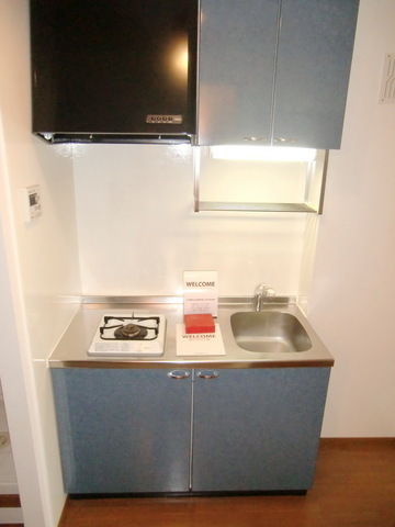 Kitchen. Gas stove 1-neck